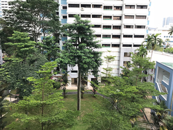 Blk 291E Bukit Batok Street 24 (Bukit Batok), HDB 4 Rooms #180630312
